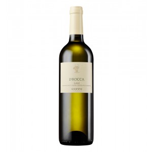 Gavi DOCG La Rocca 750 ML